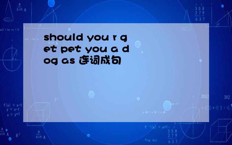 should you r get pet you a dog as 连词成句