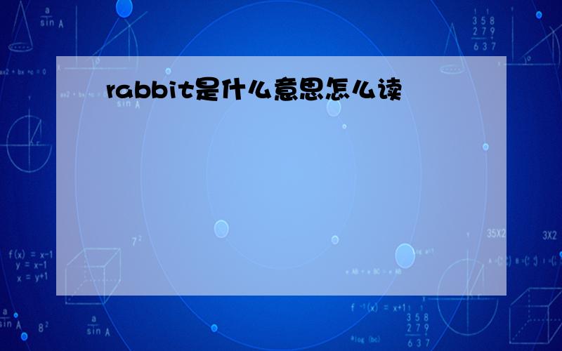 rabbit是什么意思怎么读