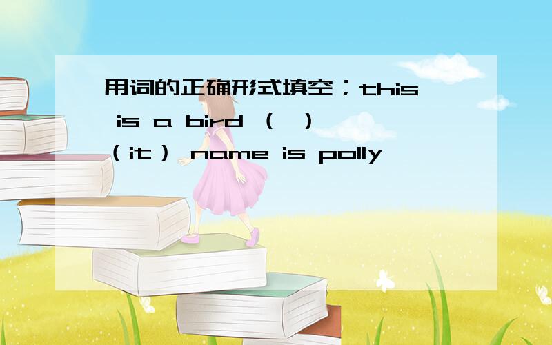 用词的正确形式填空；this is a bird （ ）（it） name is polly