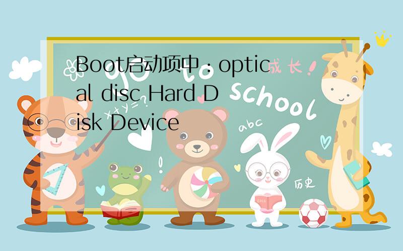 Boot启动项中：optical disc Hard Disk Device