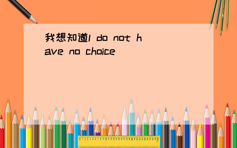 我想知道l do not have no choice