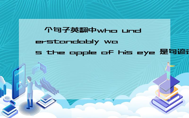 一个句子英翻中who understandably was the apple of his eye 是句谚语吗