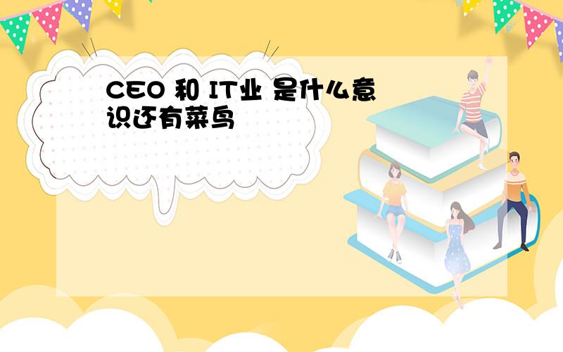 CEO 和 IT业 是什么意识还有菜鸟