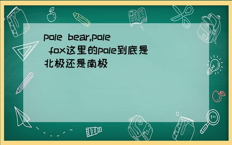 pole bear,pole fox这里的pole到底是北极还是南极