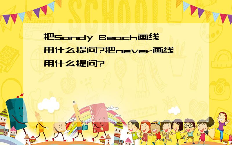 把Sandy Beach画线用什么提问?把never画线用什么提问?