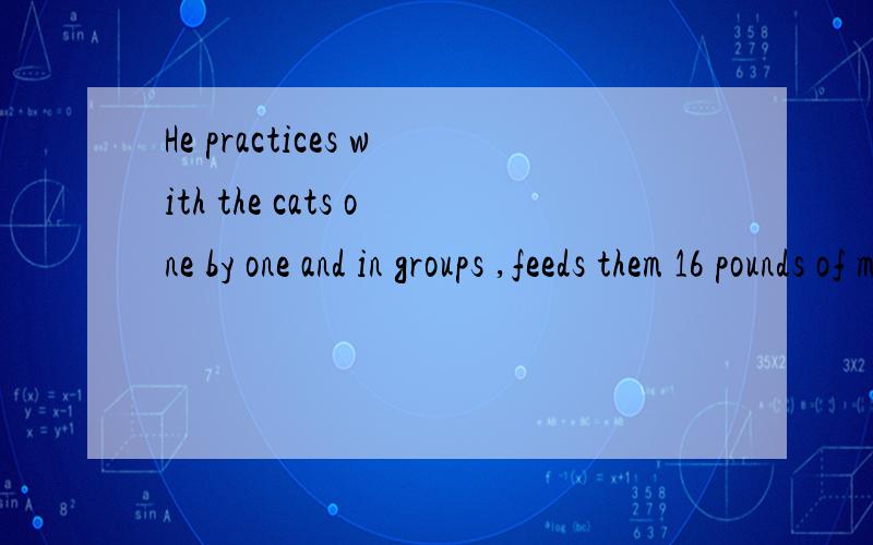 He practices with the cats one by one and in groups ,feeds them 16 pounds of meat each ,and thencleans their cages and freshens their straw bedding and water.嗯,虽然有点长,但是大家不要放弃,帮忙翻译啊……