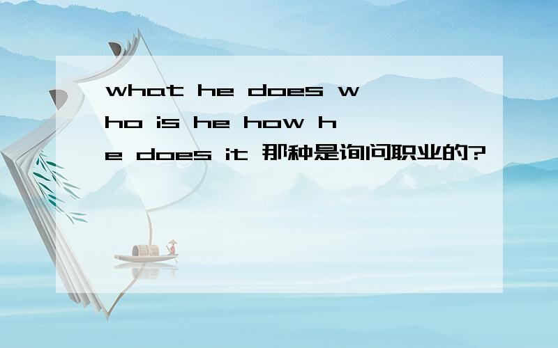 what he does who is he how he does it 那种是询问职业的?