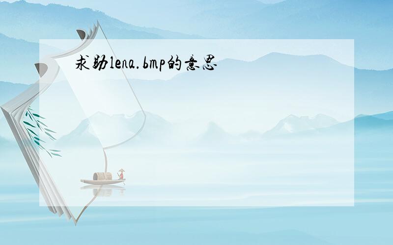 求助lena.bmp的意思