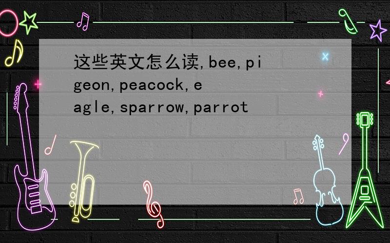 这些英文怎么读,bee,pigeon,peacock,eagle,sparrow,parrot