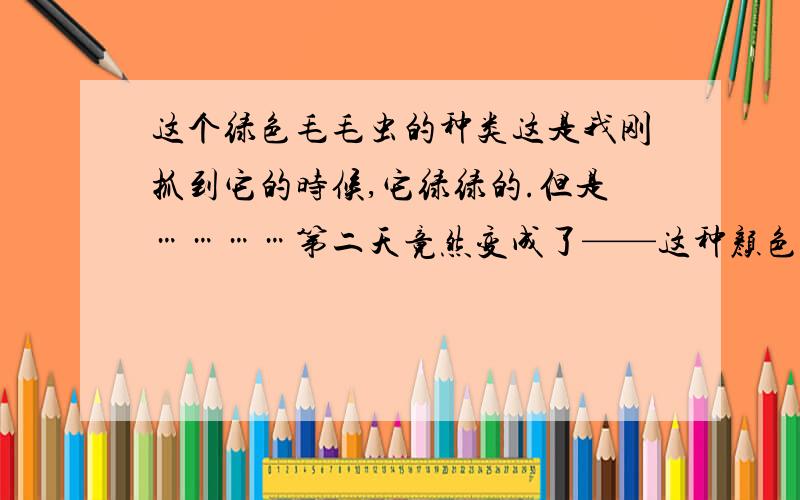 这个绿色毛毛虫的种类这是我刚抓到它的时候,它绿绿的.但是…………第二天竟然变成了——这种颜色（咖啡色）,我还以为它中毒了