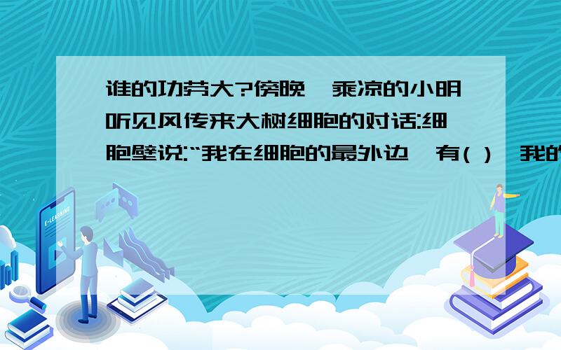 谁的功劳大?傍晚,乘凉的小明听见风传来大树细胞的对话:细胞壁说:“我在细胞的最外边,有( ),我的功劳最大.”细胞膜说:“我有( )的作用,我的功劳最大.”细胞核说：“（ ）,我的功劳最大.”