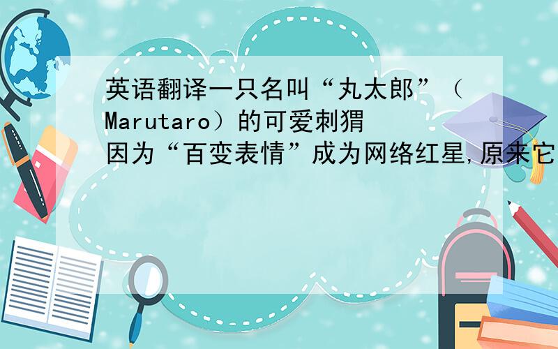 英语翻译一只名叫“丸太郎”（Marutaro）的可爱刺猬因为“百变表情”成为网络红星,原来它的主人每天都会给它戴一个超萌的面具.如今,这只变脸刺猬在推特上已经拥有4.9万粉丝,备受网友追