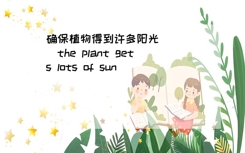 确保植物得到许多阳光 ()()the plant gets lots of sun