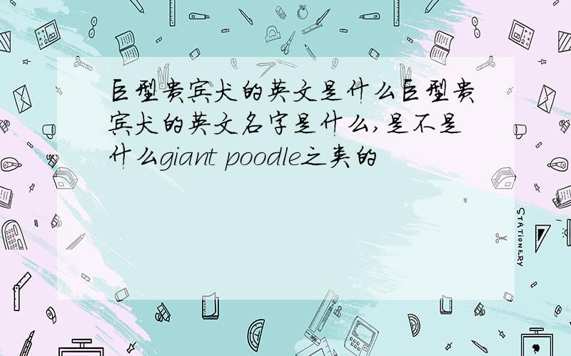 巨型贵宾犬的英文是什么巨型贵宾犬的英文名字是什么,是不是什么giant poodle之类的