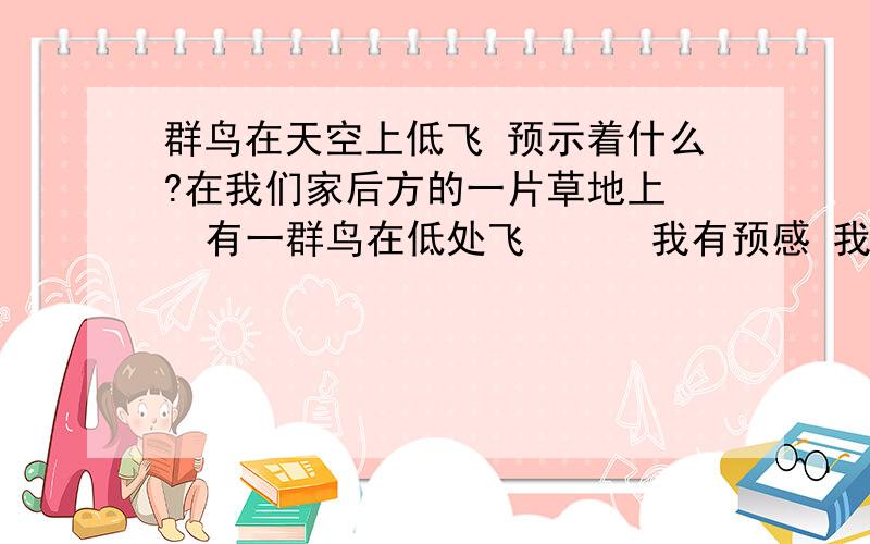 群鸟在天空上低飞 预示着什么?在我们家后方的一片草地上   有一群鸟在低处飞      我有预感 我们这边会有灾难   这真是灾难的预兆吗?