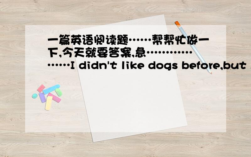 一篇英语阅读题……帮帮忙做一下,今天就要答案,急………………I didn't like dogs before,but I am happy to have one now.Do you know why?About two years ago,my wife,Cathy,got a little dog with a face only the dog's mother could