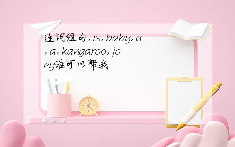 连词组句,is,baby,a,a,kangaroo,joey谁可以帮我