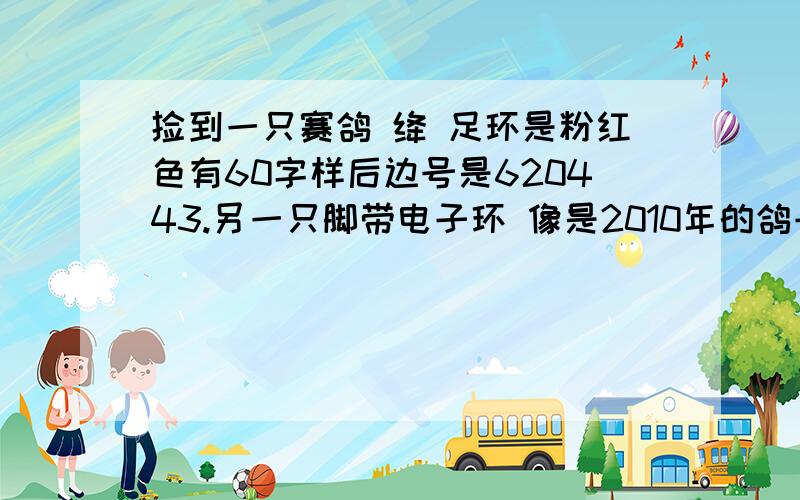 捡到一只赛鸽 绛 足环是粉红色有60字样后边号是620443.另一只脚带电子环 像是2010年的鸽子,刚替六棵条.我要的是  鸽主的名字或鸽舍和公棚信息