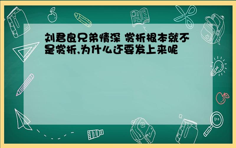 刘君良兄弟情深 赏析根本就不是赏析,为什么还要发上来呢