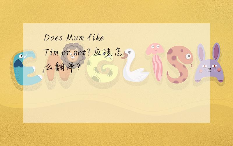 Does Mum like Tim or not?应该怎么翻译?