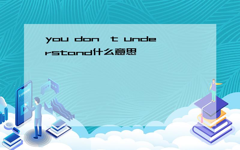 you don't understand什么意思