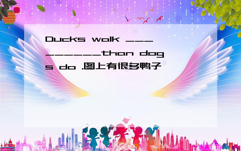 Ducks walk _________than dogs do .图上有很多鸭子