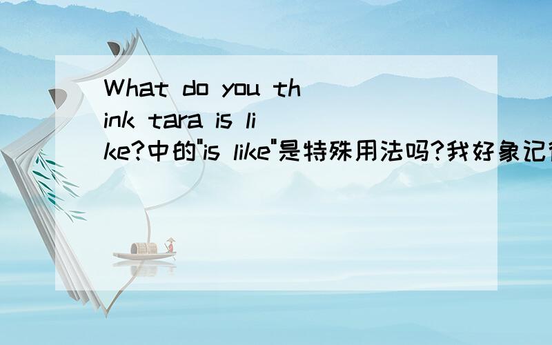 What do you think tara is like?中的