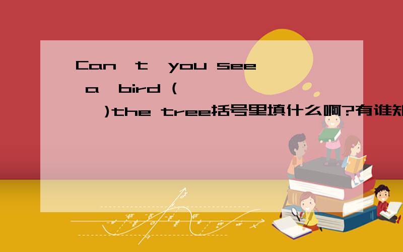 Can't  you see a  bird (       )the tree括号里填什么啊?有谁知到啊!急需  大家帮帮忙