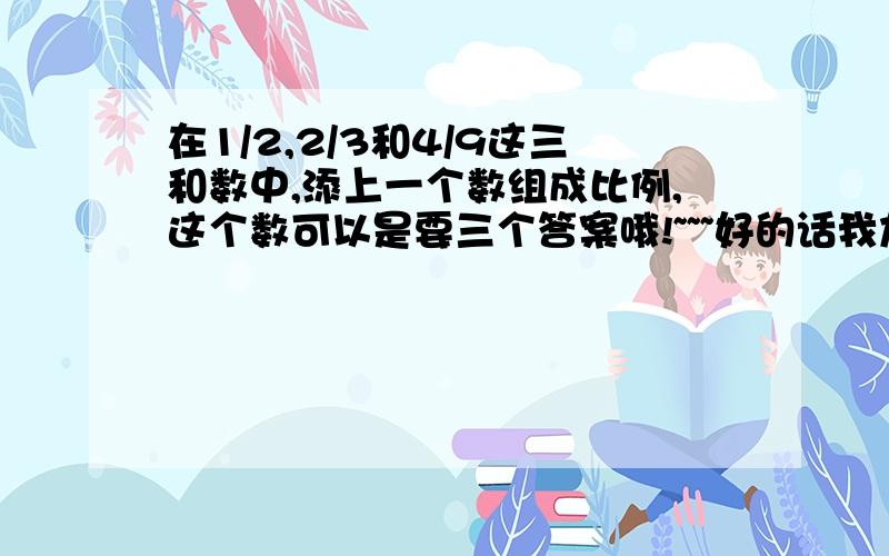 在1/2,2/3和4/9这三和数中,添上一个数组成比例,这个数可以是要三个答案哦!~~~好的话我加分!~~