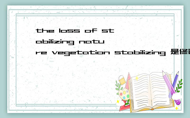 the loss of stabilizing nature vegetation stabilizing 是修饰nature vegetation 还是 loss?翻译课上老师讲的内容.他认为stabilizing 是修饰 loss,只是位置后置,是地道的英文表达,意思是：自然植被的“持续”流失