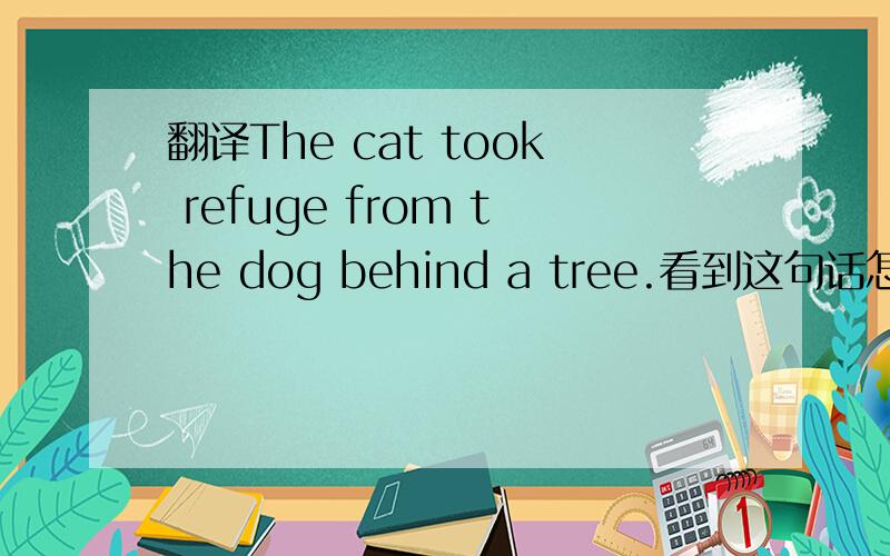 翻译The cat took refuge from the dog behind a tree.看到这句话怎么感觉有点奇怪