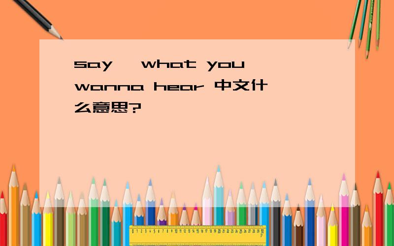 say' what you wanna hear 中文什么意思?