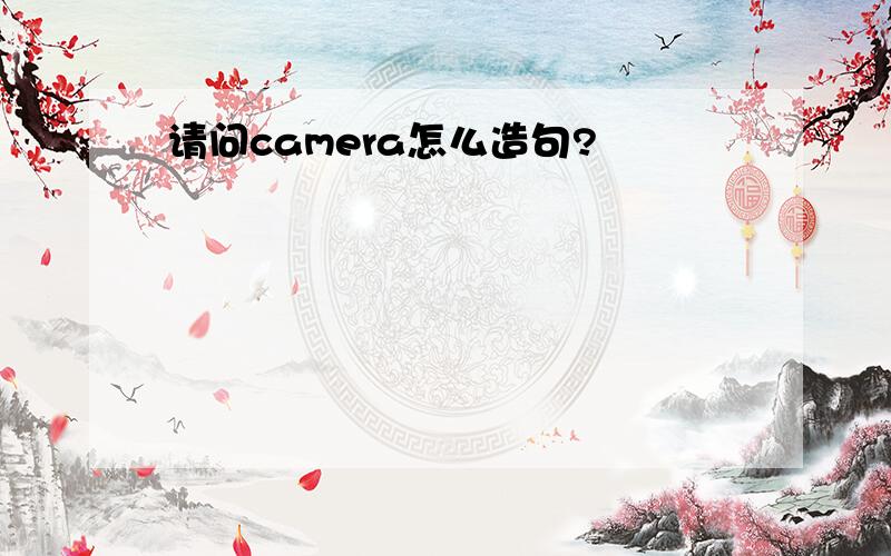 请问camera怎么造句?