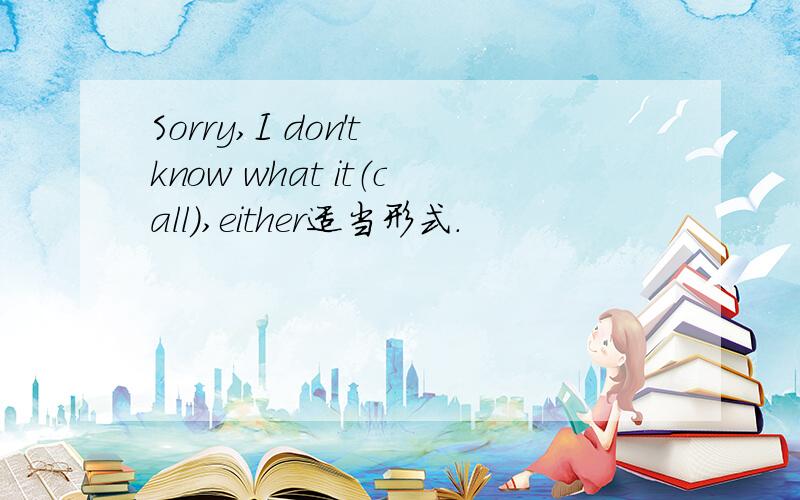 Sorry,I don't know what it（call）,either适当形式.