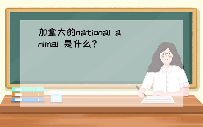 加拿大的national animal 是什么?