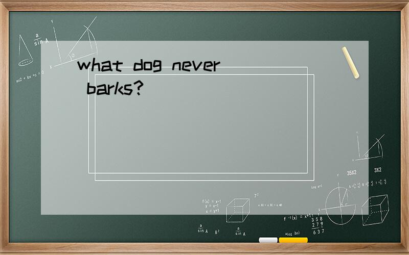 what dog never barks?