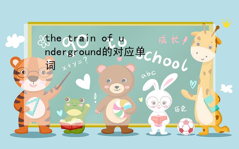 the train of underground的对应单词