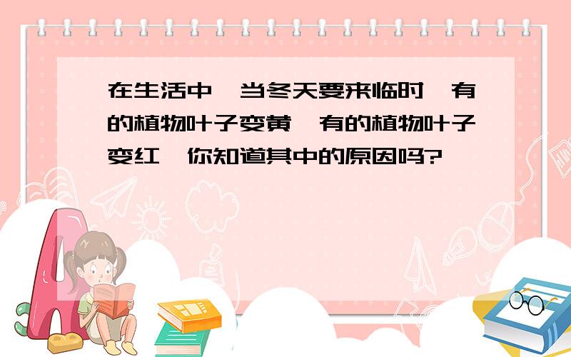 在生活中,当冬天要来临时,有的植物叶子变黄,有的植物叶子变红,你知道其中的原因吗?