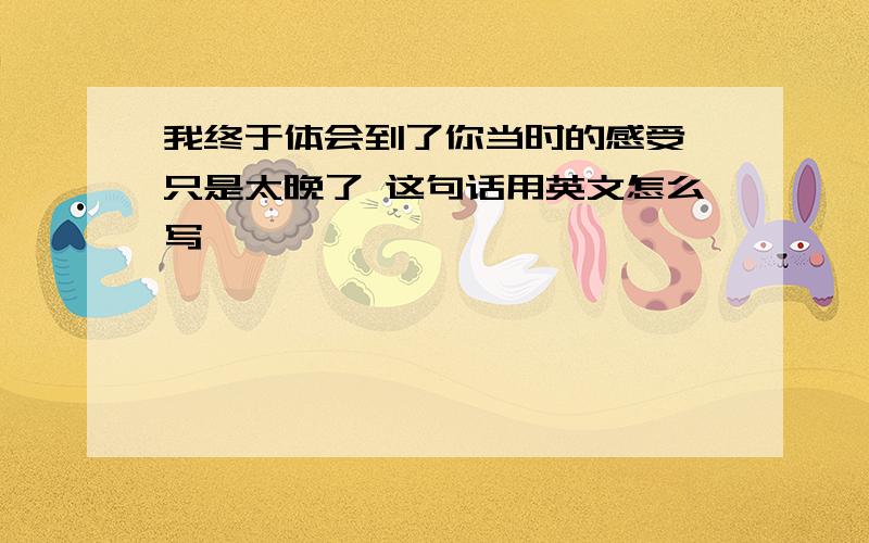 我终于体会到了你当时的感受,只是太晚了 这句话用英文怎么写