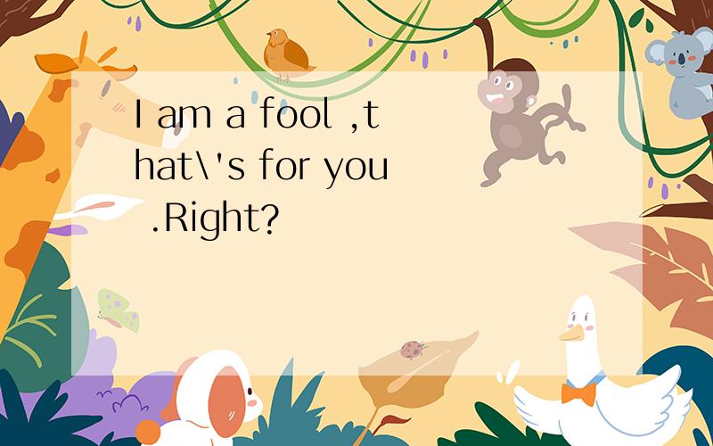 I am a fool ,that\'s for you .Right?