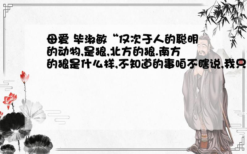 母爱 毕淑敏“仅次于人的聪明的动物,是狼,北方的狼.南方的狼是什么样,不知道的事咱不瞎说,我只知道北方的狼.”一位老猎人,在大兴安岭蜂蜜般黏稠的篝火旁,对我说.猎人是个渐趋消亡的职