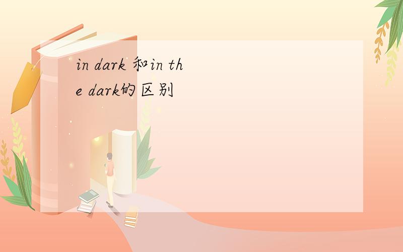 in dark 和in the dark的区别