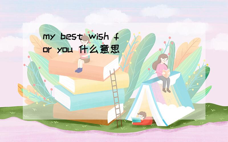 my best wish for you 什么意思