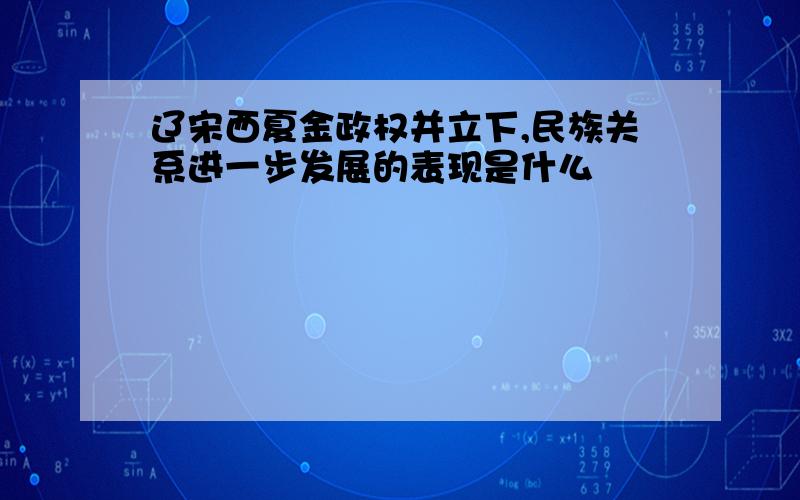 辽宋西夏金政权并立下,民族关系进一步发展的表现是什么