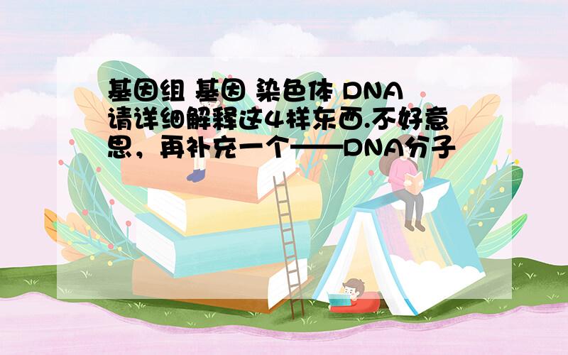 基因组 基因 染色体 DNA请详细解释这4样东西.不好意思，再补充一个——DNA分子