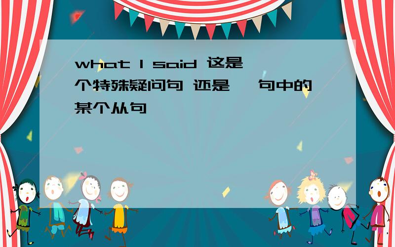 what I said 这是个特殊疑问句 还是 一句中的某个从句