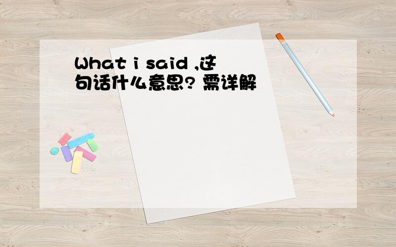 What i said ,这句话什么意思? 需详解