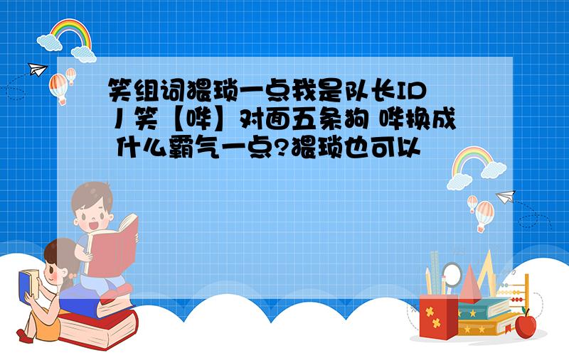 笑组词猥琐一点我是队长ID 丿笑【哗】对面五条狗 哗换成 什么霸气一点?猥琐也可以