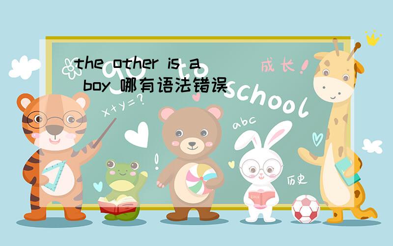 the other is a boy 哪有语法错误