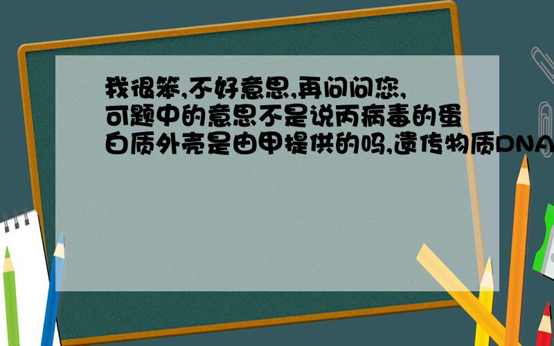 我很笨,不好意思,再问问您,可题中的意思不是说丙病毒的蛋白质外壳是由甲提供的吗,遗传物质DNA才是由乙病毒提供的,那蛋白质外壳应该是三角形的吧?